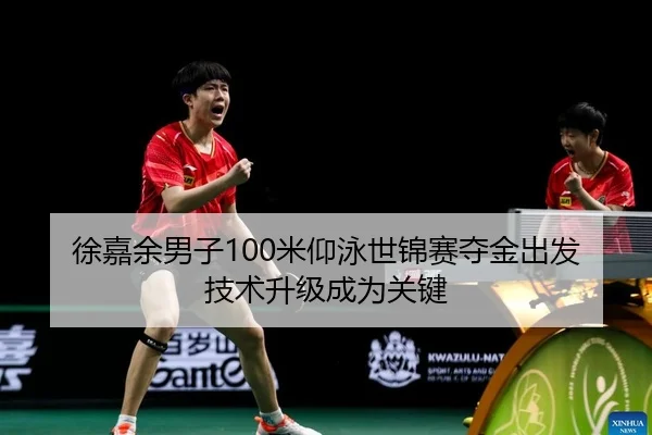 xu-jia-yu-nan-zi-mi-yang-yong-shi-jin-sai-duo-jin-chu-fa-ji-shu-sheng-ji-cheng-wei-guan-jian-2-135.jpg